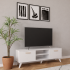 ADEL 2 DOOR TV UNIT - 160CM (A6)
