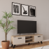 ADEL 2 DOOR TV UNIT - 160CM (A1-A7)