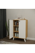 DIAMOND 2-DOOR 2-SHELF MULTI-PURPOSE CABINET