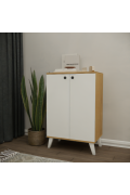 DIAMOND 2-DOOR 2-SHELF MULTI-PURPOSE CABINET