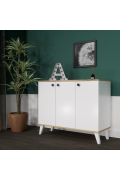 ADEL AF102 MULTI PURPOSE CABINET (100 X 83 X 42)
