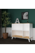 ADEL AF102 MULTI PURPOSE CABINET (100 X 83 X 42)