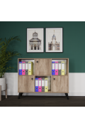 MULTI PURPOSE CABINET
