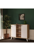 ADEL AF101 MULTI PURPOSE CABINET (105 x 90 x 35)