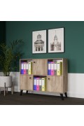 MULTI PURPOSE CABINET