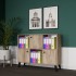 MULTI PURPOSE CABINET 